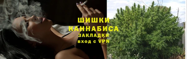 трава Зерноград