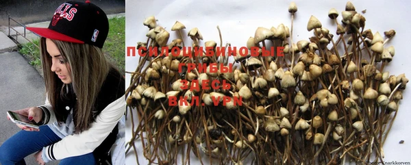 MDMA Premium VHQ Зеленокумск